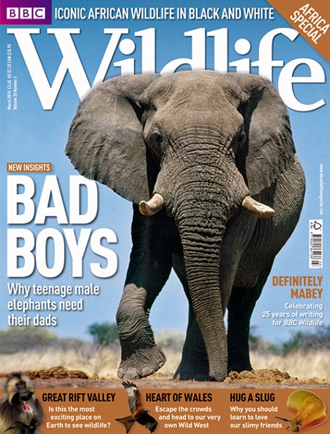 BBC Wildlife