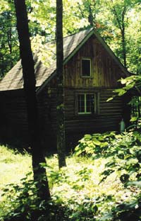 My son, Bill Spaulding’s hunting “shack” sits right in the middle of white oaks, which produce “grain from trees,” as some Indian tribes refer to acorns, and also lure big deer, which come to feed 