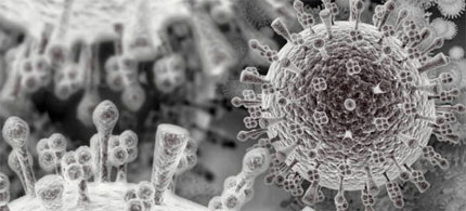 File photo: Microscopic close-up, swine flu virus. (photo: AP)