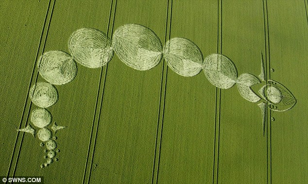 Cream of the crop circles New markings snake 350ft across farmer's field as 'mysterious' summer tradition continues