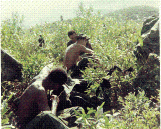 http://www.veteranstoday.com/wp-content/uploads/2012/02/Duff_NightAmbush-e1328150953641-320x256.gif
