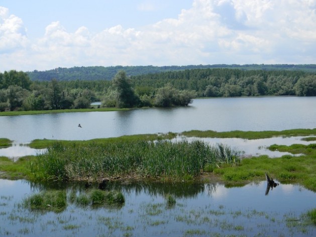 As the Danube naturally flows through Serbia. Credit: Vesna Zimonjic/IPS.