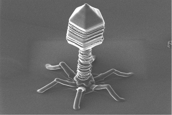 NO MATTER WHAT the story, DO NOT get vaccinated, a new bioweapon is being distributed via vaccines
