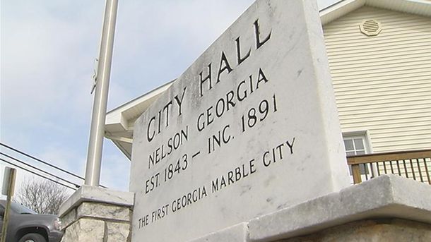 Nelson gun law