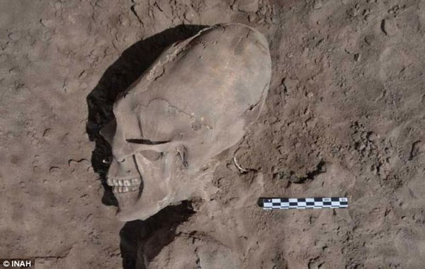 The incredible 'alien' skulls discovered in a Mexican cemetery