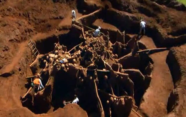 Video Giant Ant Colony Excavated, You won’t believe what they build underground