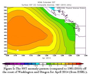 This figure shows how much warmer sea surface temperatures off the coast of Washington and Oregon were in April 2014 as compared to 1981-2010. New research finds that the long-lived patch of warm water off the West Coast, dubbed "the blob", is part of what's causing unusual weather on the East and West coasts, and affecting marine life on the West Coast. Credit: NOAA