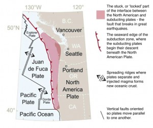 THE CASCADIA SUBDUCTION ZONE: The geography of northern California, Oregon, Washington, and southern British Columbia is shaped by the Cascadia subduction zone, where the North American Plate collides with a number of smaller plates: the largest of these is the Juan de Fuca Plate, flanked by the Explorer Plate to the north and the Gorda plate to the south. These smaller plates “subduct” (descend) beneath the North American Plate as they converge along a 700-mile long (1,130 km) boundary. A large portion of the boundary between the subducting and overriding plates resists the convergent motion, until this part of the boundary breaks in a great earthquake. Above: Schematic view of the source area for the largest Cascadia earthquakes. (Image adapted from U.S. Geological Survey Professional Paper 1707 (page 8), Atwater et al., http://pubs.usgs.gov/pp/pp1707/)