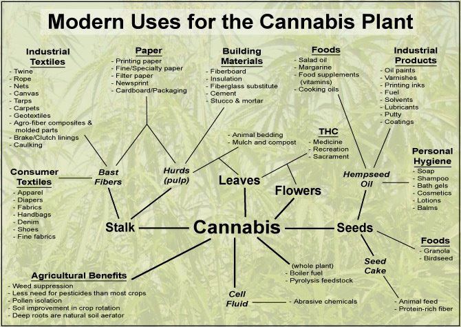 hemp