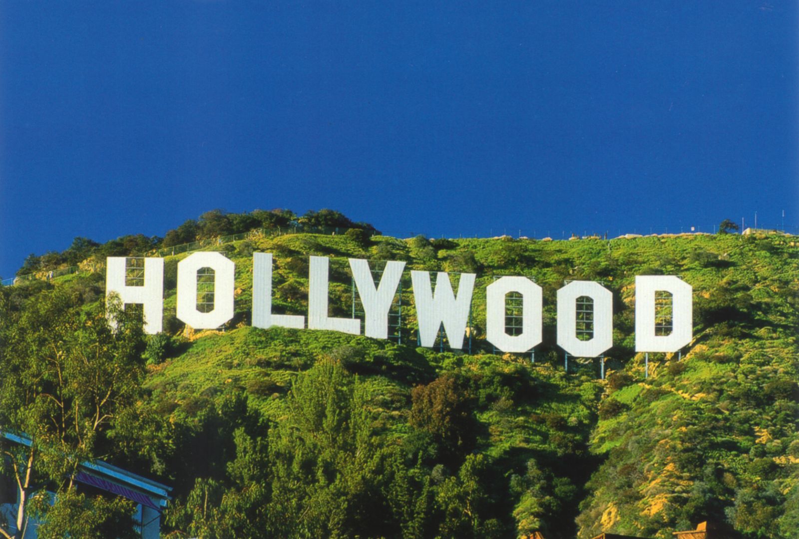LA hollywood