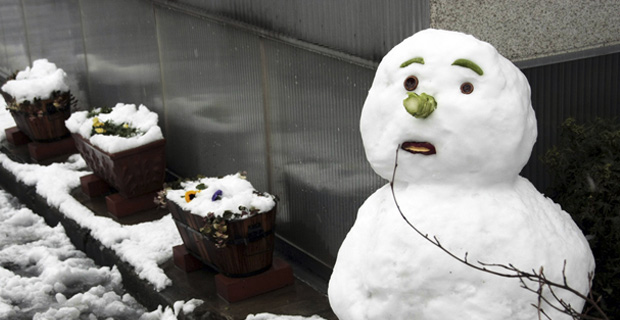 Report: Obama’s Terror Cells In The U.S. Photo Report: Obama’s Terror Cells In The U.S. 091214snowman